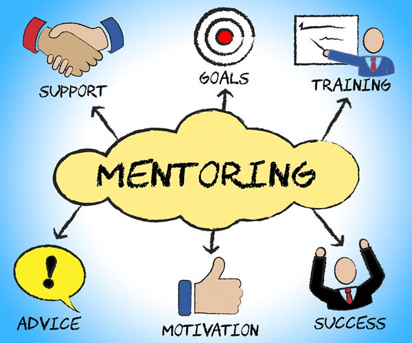 MENTORING/CONSULTATION